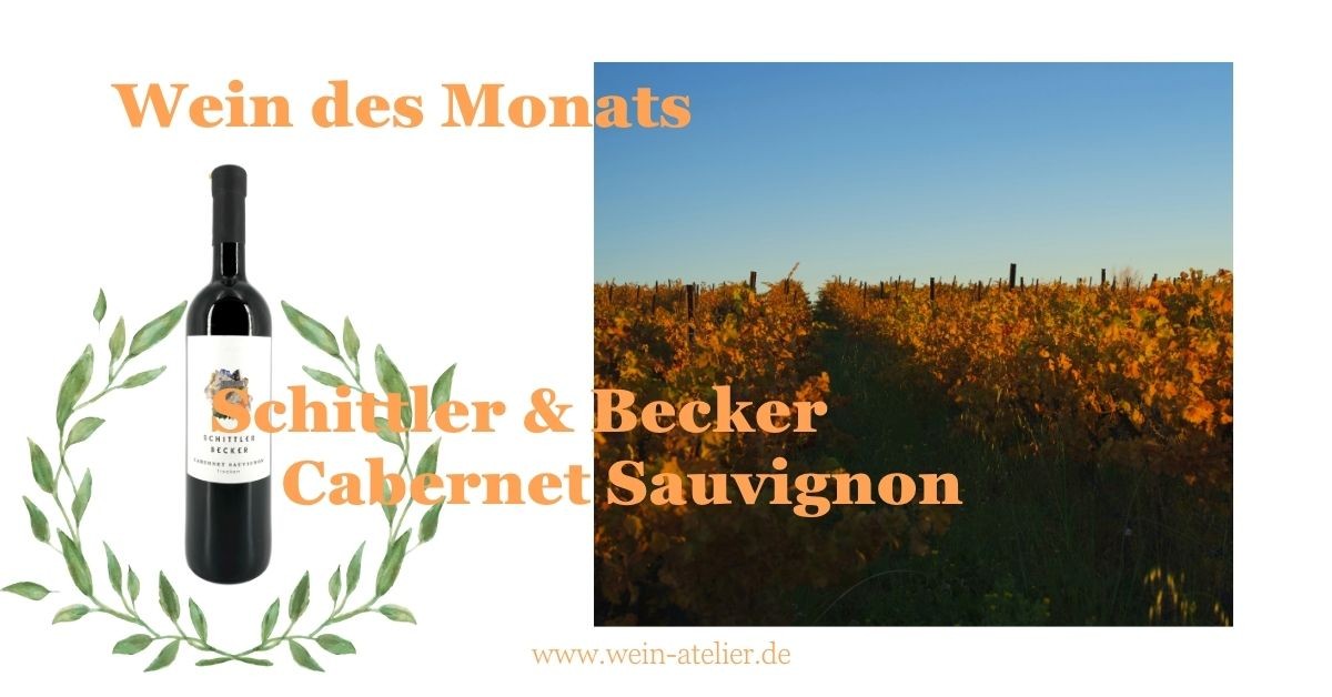 Wein des Monats: Cabernet Sauvignon von Vereinigte Weingüter Schittler & Becker